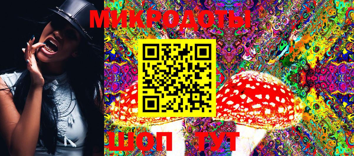Светлоград  Псилоцибиновые грибы Psilocybine cubensis  Вход с VPN 