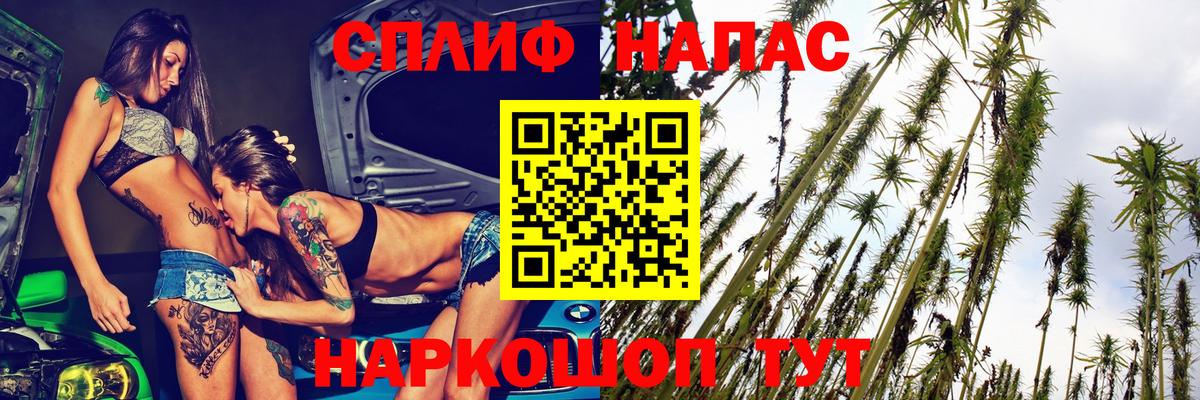 Бошки Шишки семена  Конопля сатива  Вход с VPN  Бошки Шишки тримм  МАРИХУАНА AK-47  Светлоград 